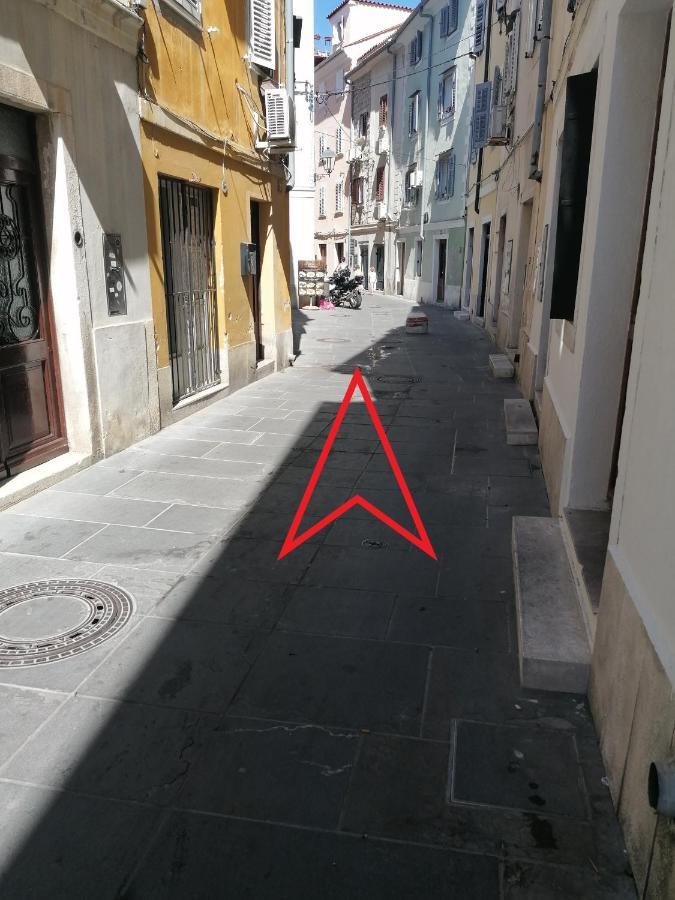 Gg Art Ii * Piran