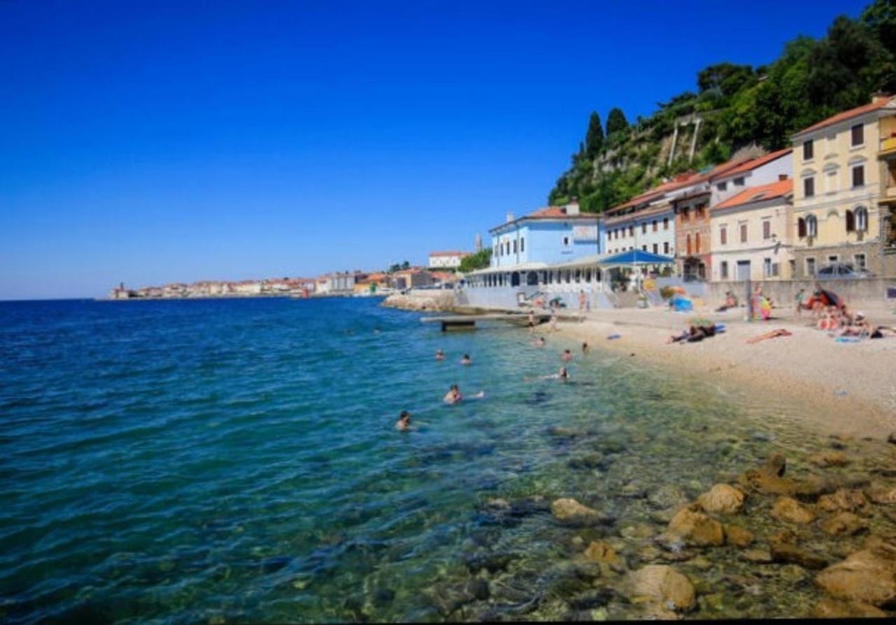 Gg Art Ii Piran